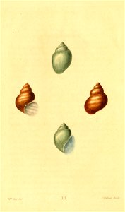 n67_w1150