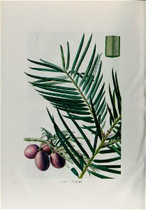n833_w1150