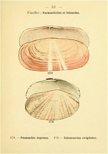 n116_w1150