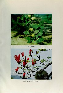 n832_w1150