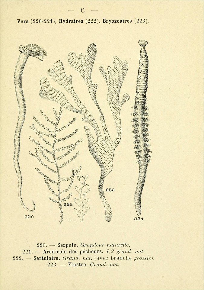 n198_w1150