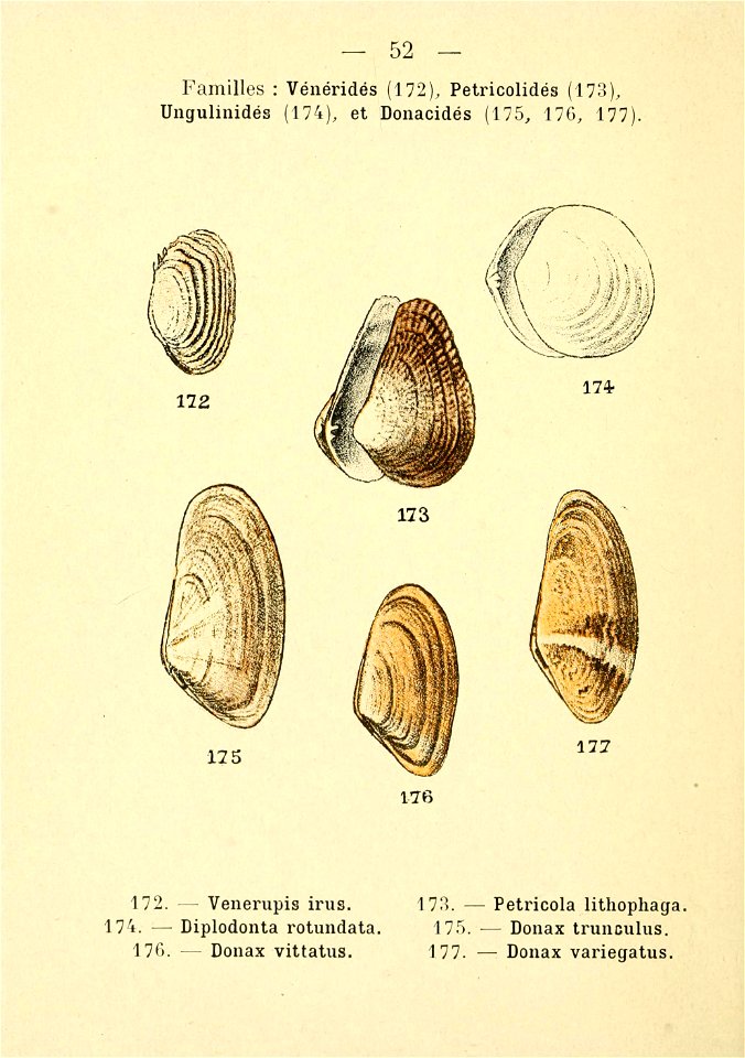 n113_w1150