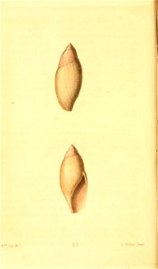 n129_w1150