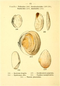 n137_w1150