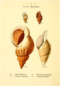 n17_w1150