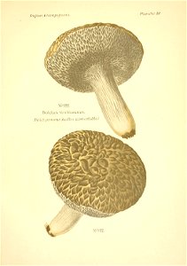 n192_w1150