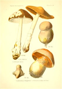 n162_w1150