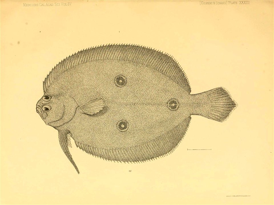 n368_w1150