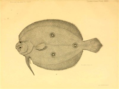 n368_w1150