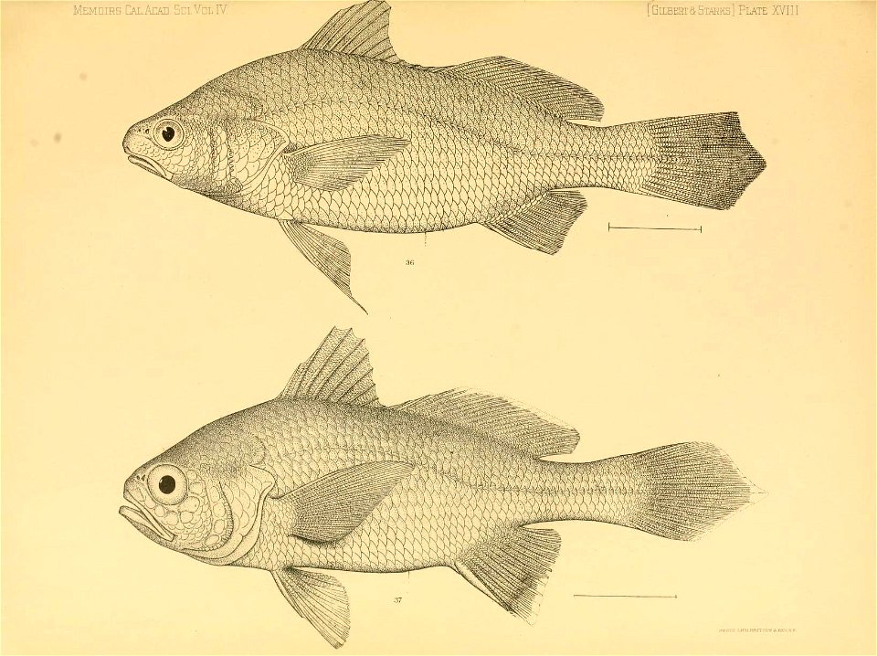 n308_w1150