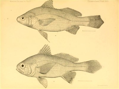 n308_w1150
