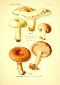 n132_w1150