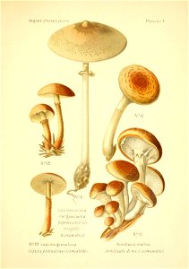 n102_w1150