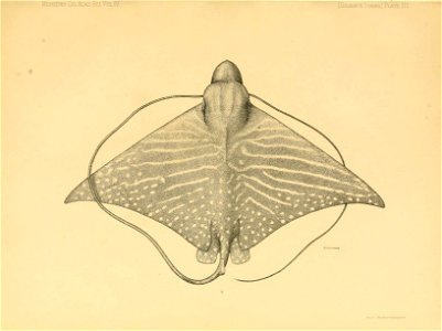 n248_w1150