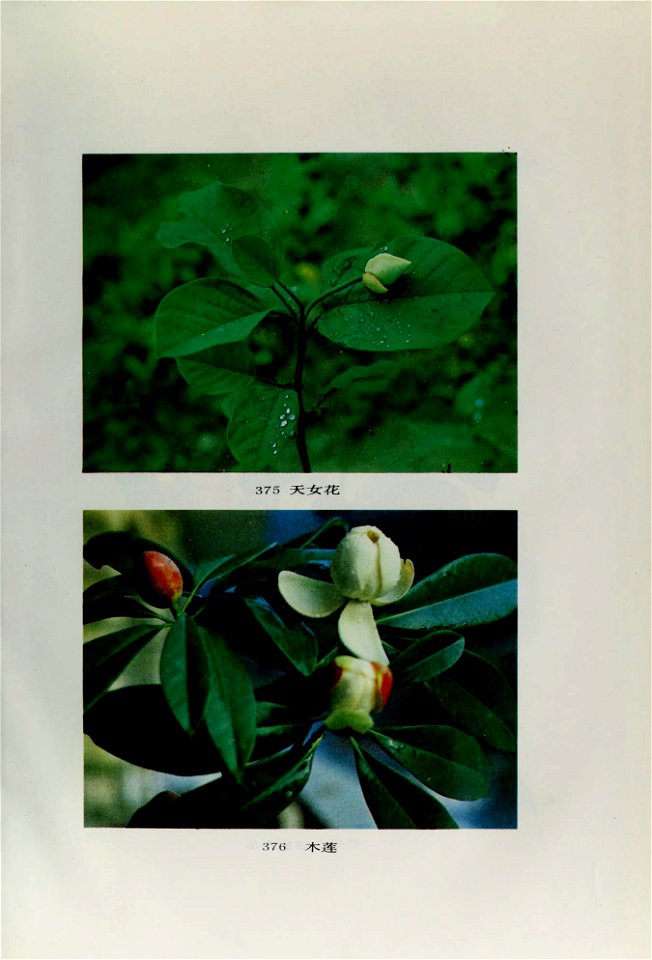 n836_w1150