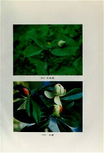 n836_w1150