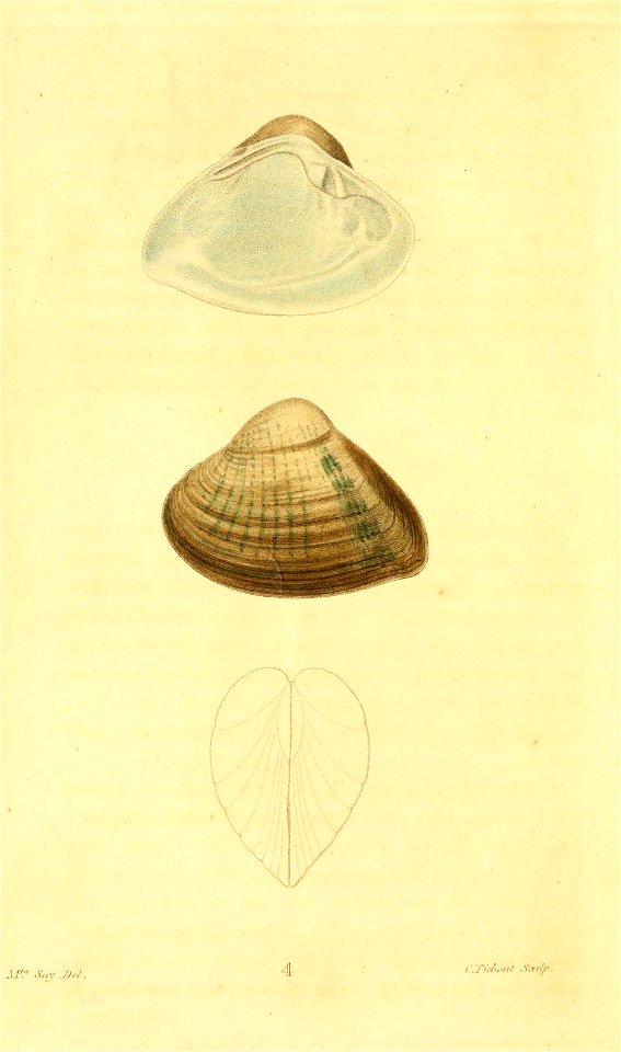 n35_w1150