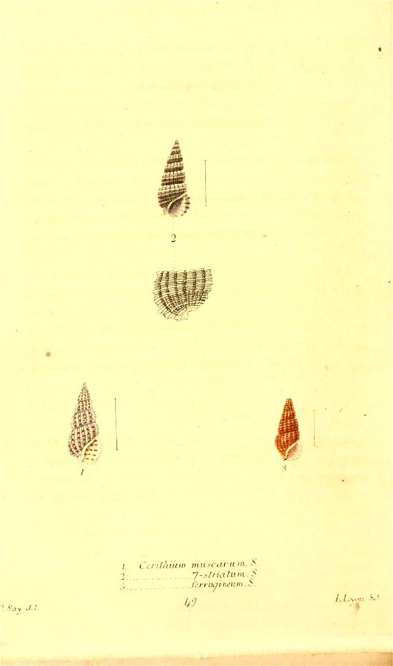 n313_w1150