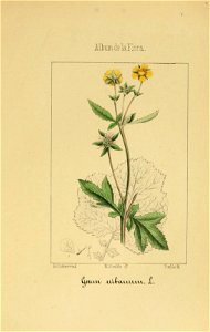 n178_w1150