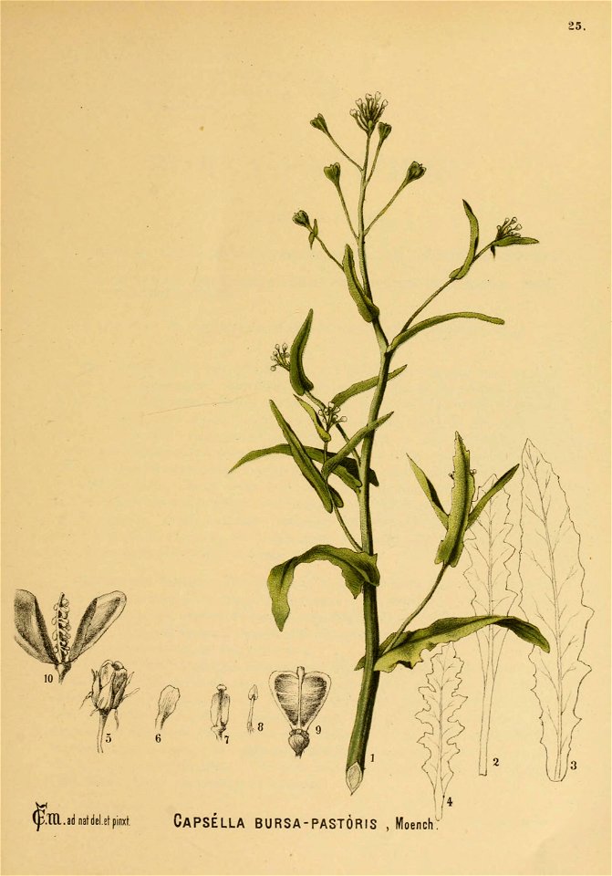 n154_w1150