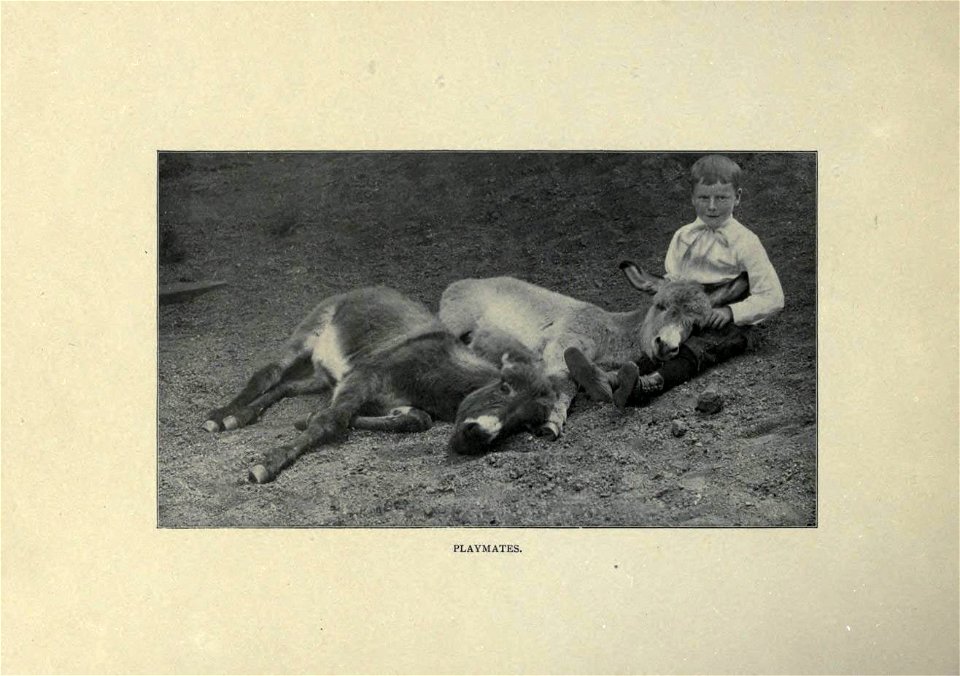 n5_w1150