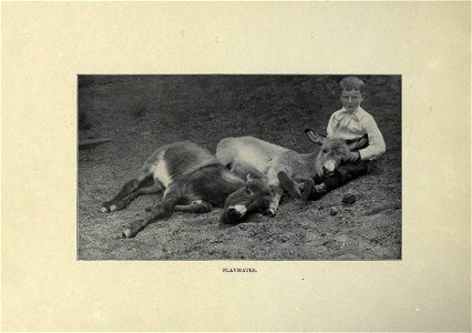 n5_w1150