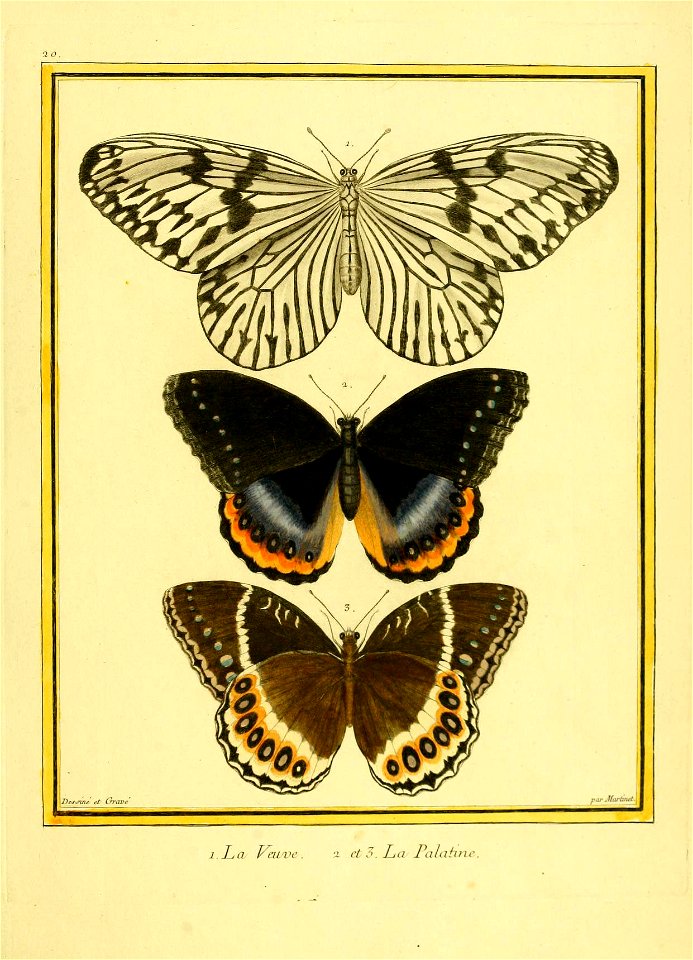 n48_w1150