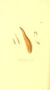 n329_w1150