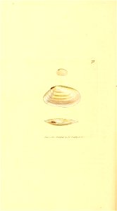 n325_w1150