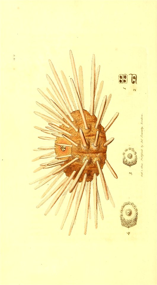 n197_w1150