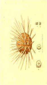n197_w1150