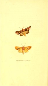 n133_w1150