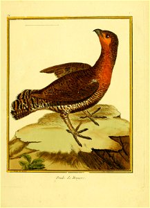 n156_w1150