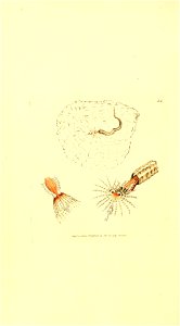 n145_w1150