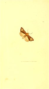 n137_w1150