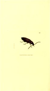 n313_w1150