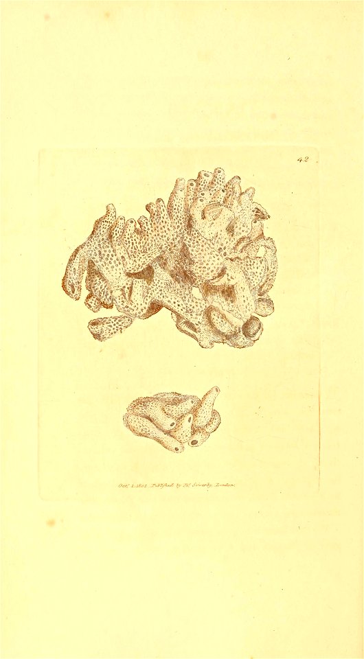 n189_w1150