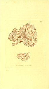 n189_w1150
