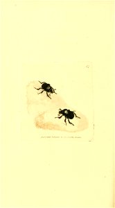 n255_w1150