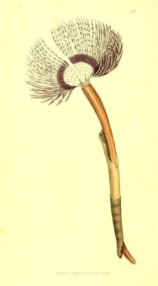 n67_w1150