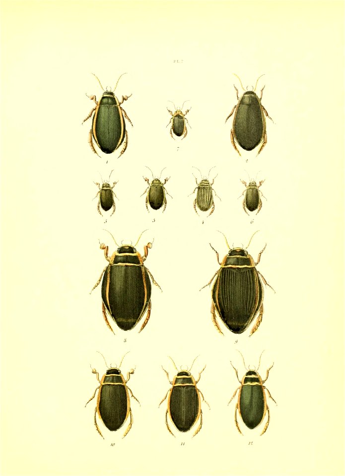 n408_w1150