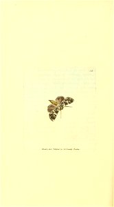 n247_w1150