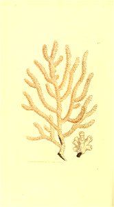 n181_w1150