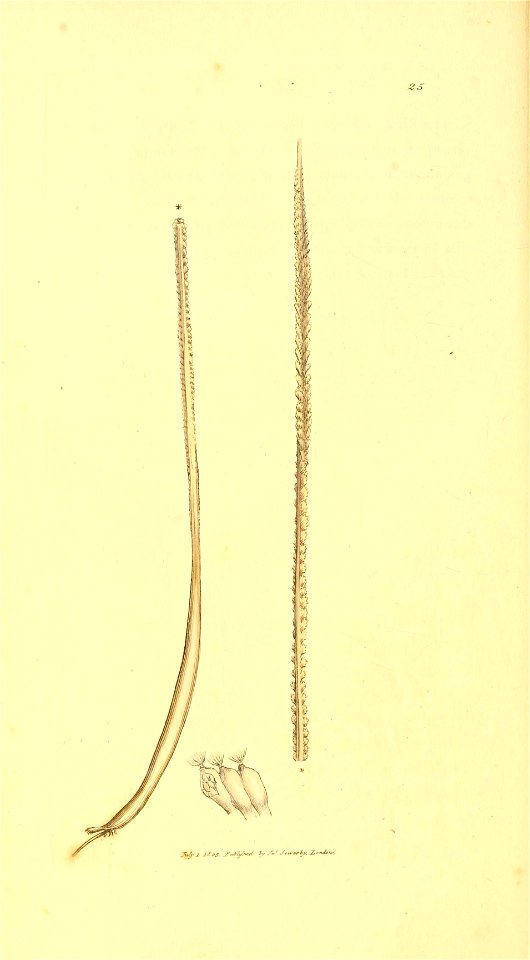 n121_w1150
