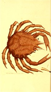 n177_w1150
