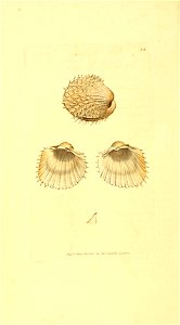 n149_w1150