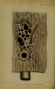 n139_w1150