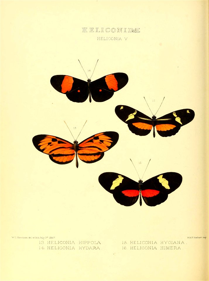 n167_w1150
