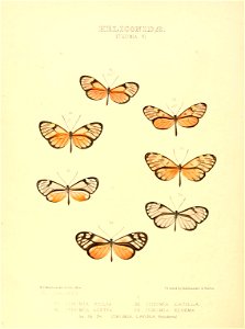 n219_w1150