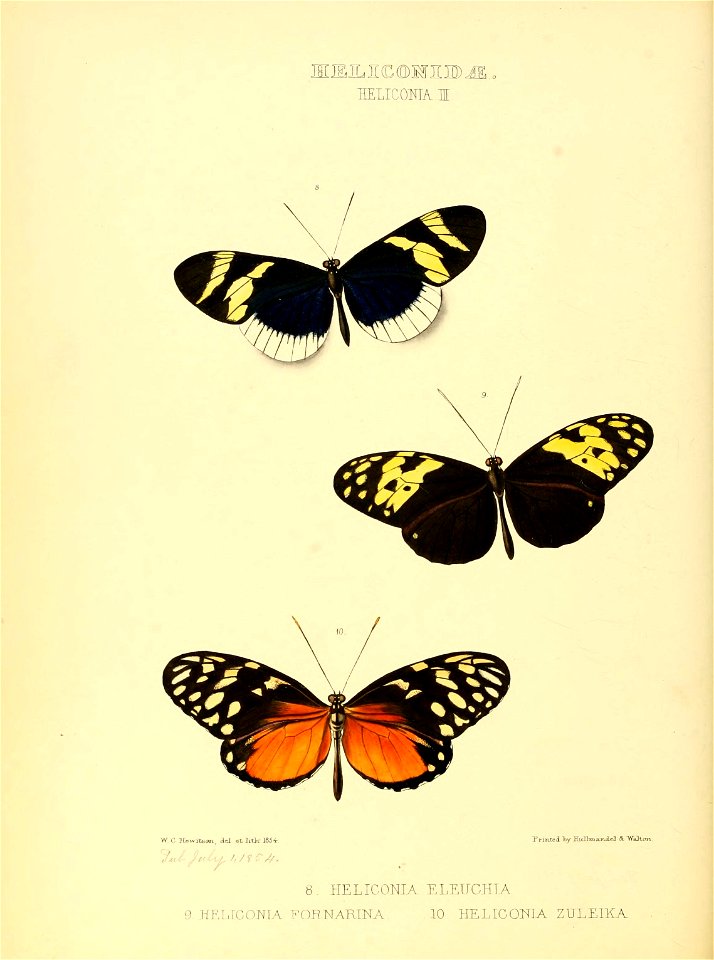 n159_w1150